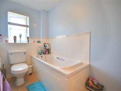 Picture 20